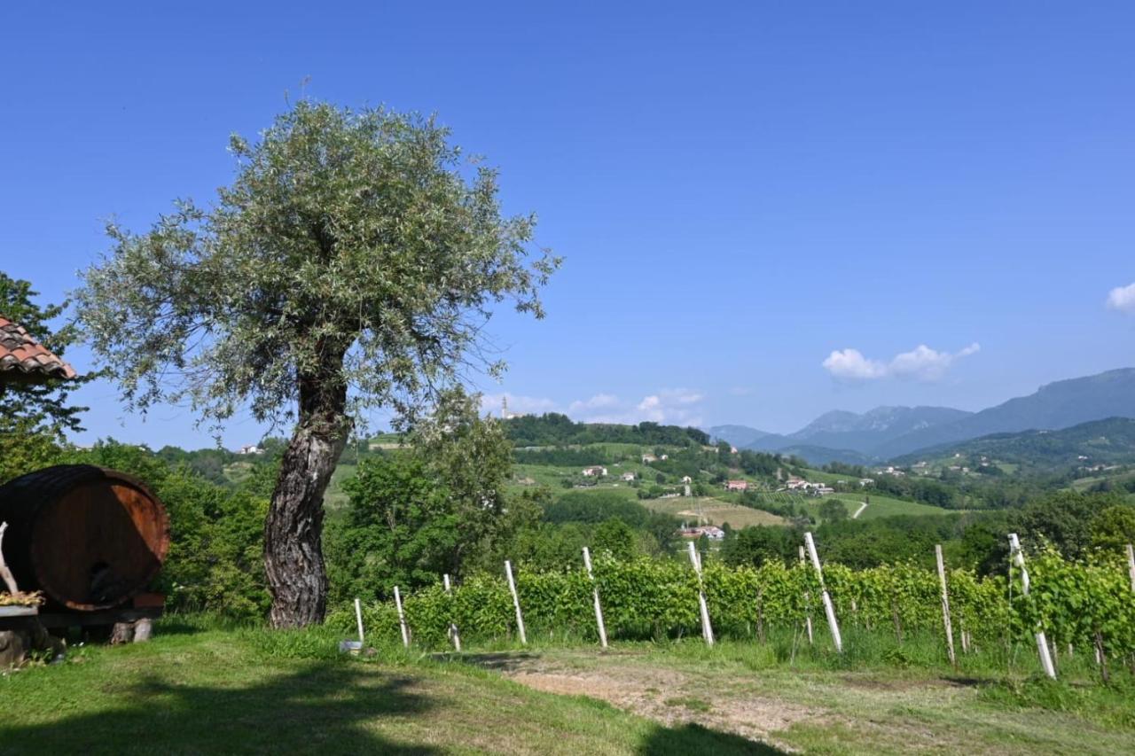 Agriturismo Le Spezie Conegliano Extérieur photo