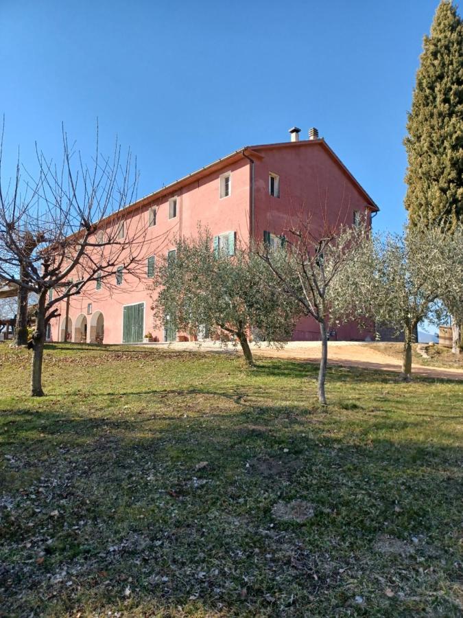 Agriturismo Le Spezie Conegliano Extérieur photo