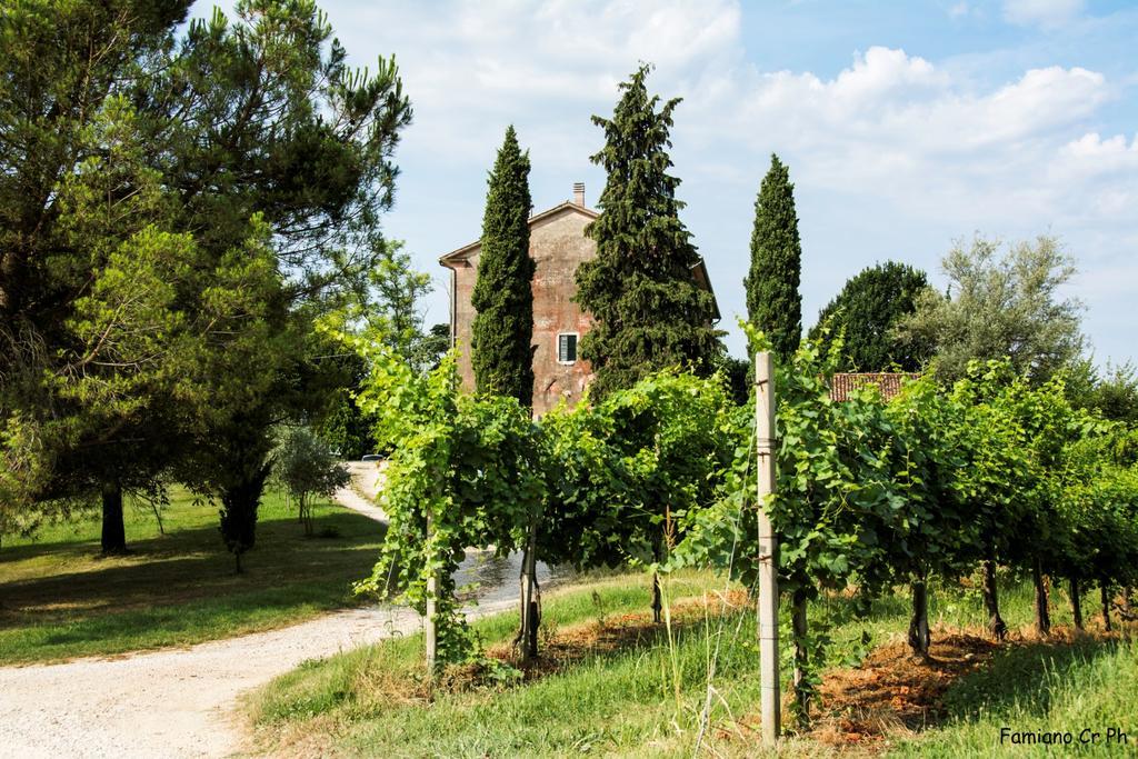 Agriturismo Le Spezie Conegliano Chambre photo