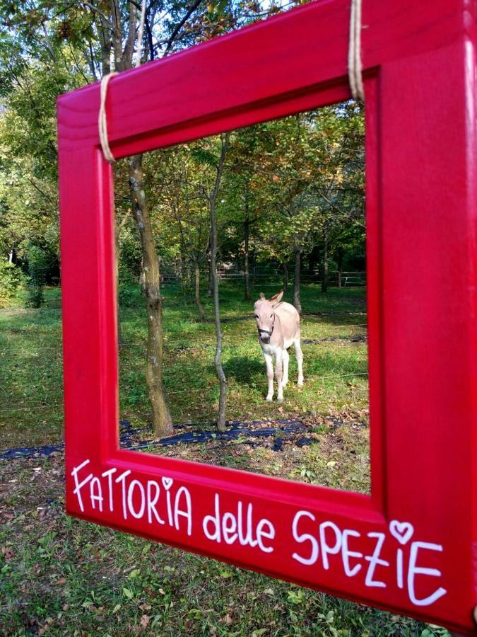 Agriturismo Le Spezie Conegliano Extérieur photo